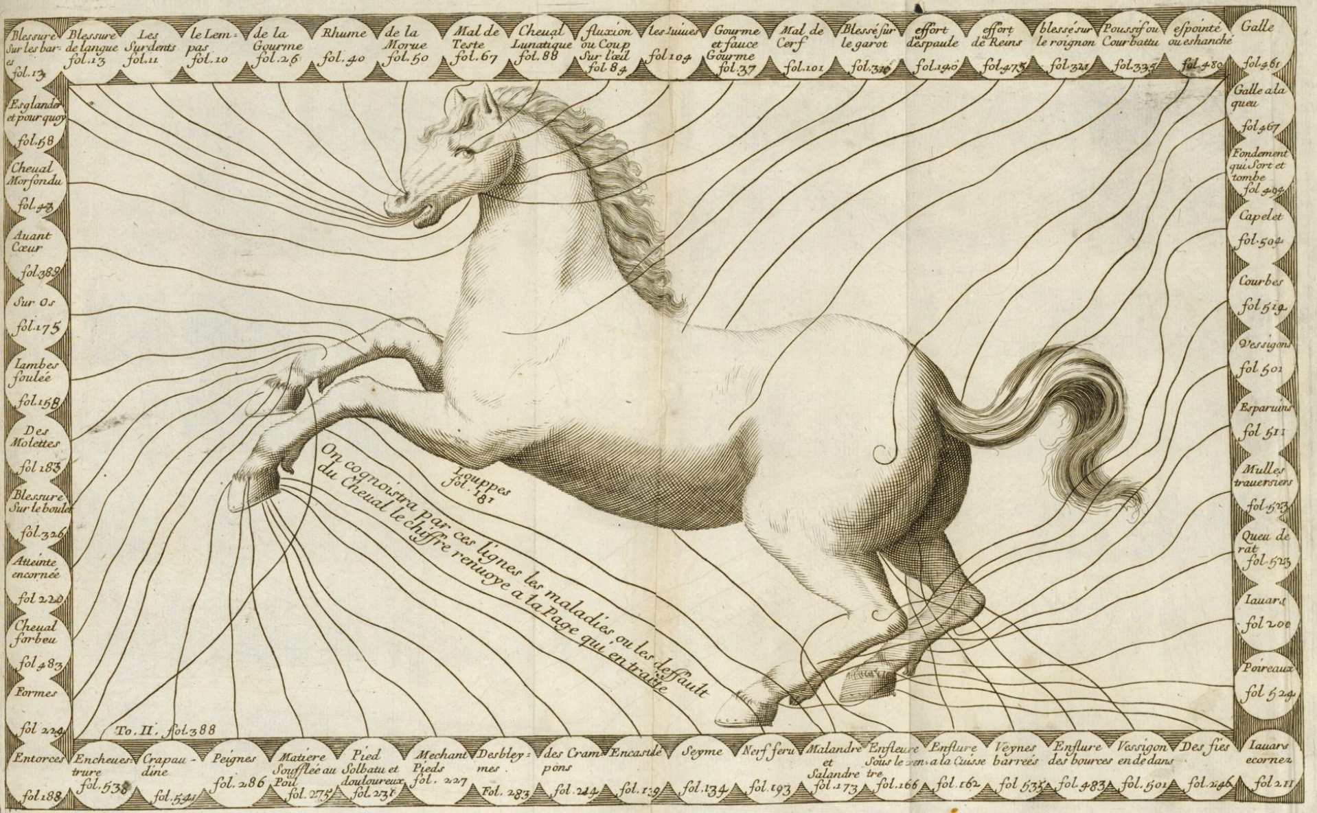 Image of a pale horse mid gallop. Protruding from nostrils, eyes, heels, hooves, and neck are lines. Each line strays outward, connecting a part of the horse's body to a particular horse ailment. One may find lunacy in a horse's eyes, and one may find the solution on folio 88.